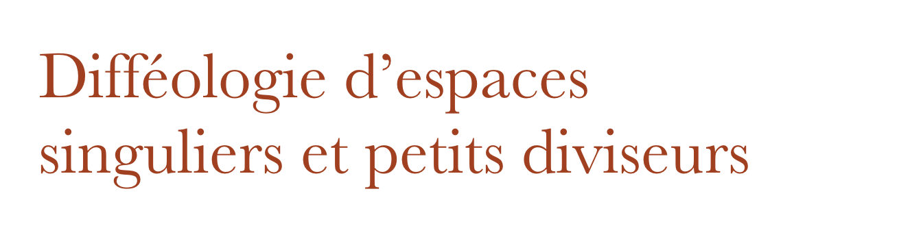 Difféologie d’espaces singuliers et petits diviseurs