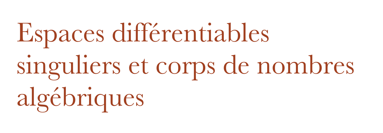 Espaces différentiables singuliers et corps de nombres algébriques