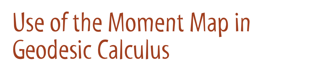 Use of the Moment Map in Geodesic Calculus