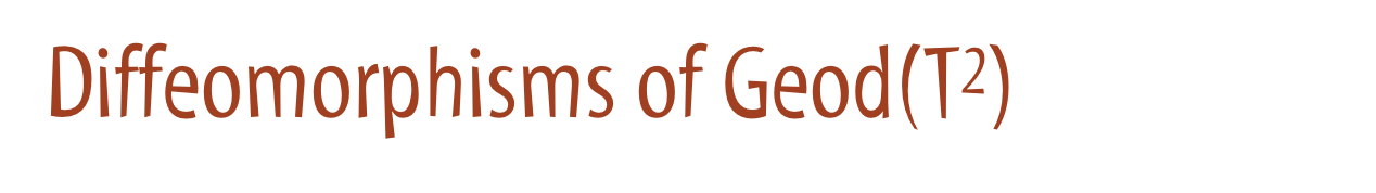 Diffeomorphisms of Geod(T2)