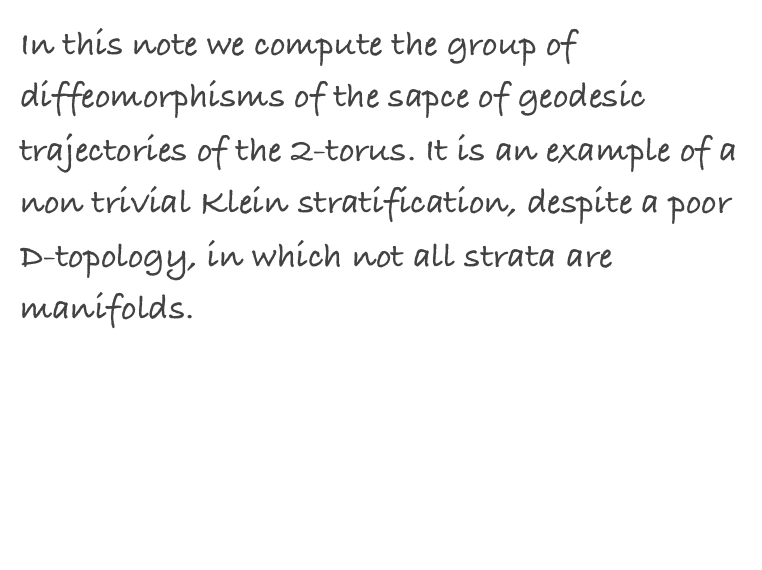 In this note we compute the group of diffeomorphisms of the sapce of geodesic trajectories of the 2-torus. It is an example of a non trivial Klein stratification, despite a poor D-topology, in which not all strata are manifolds.